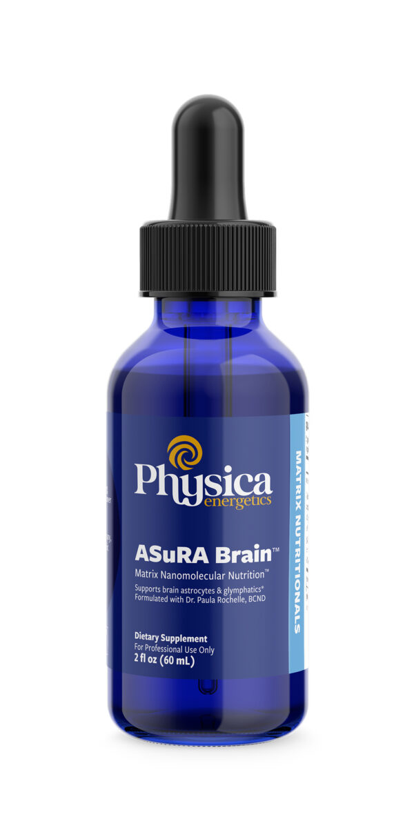 ASuRa Brain
