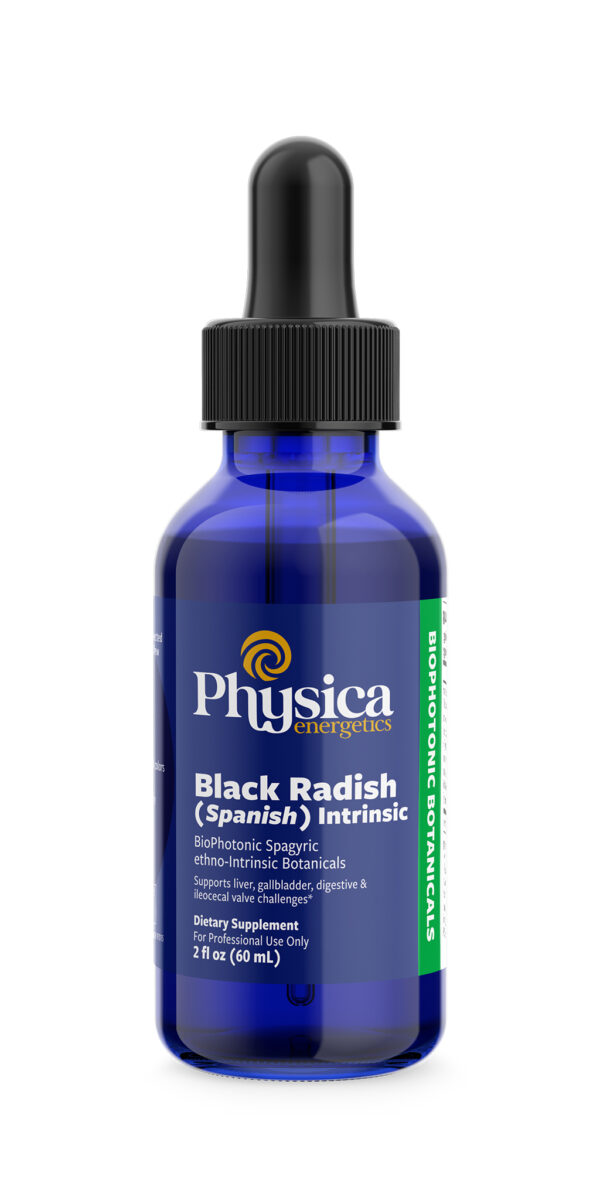 Black Radish Intrinsic