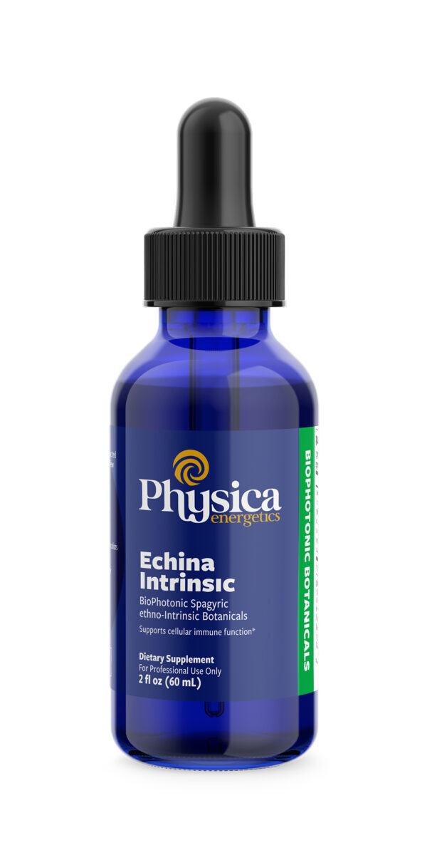 Echina Intrinsic